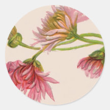 Chrysanthemum - Sticker