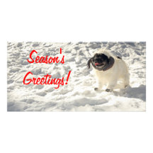 Chubbs The Wampug Season's Greetings Card Photo Card Template