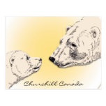Churchill Canada Postcard Polar Bear Art Cards