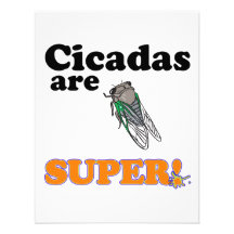 cicadas are super invitations
