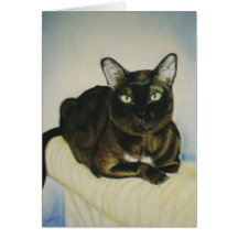"Cici" cat portrait card