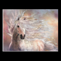 Cielo Postcard postcards