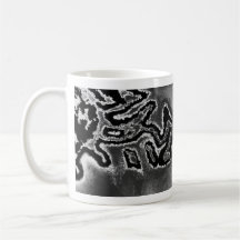 "Ciliary Body and Lens"  coffee mug!