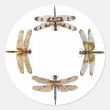 Circle of Dragonflies Stickers