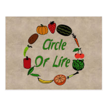 Circle Of Life Postcard
