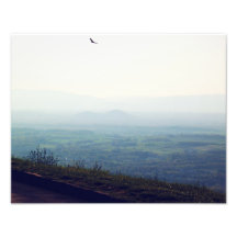 "Circling"  (Photo Print 2013)