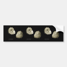 Circular Saw Shell Bumper Sticker