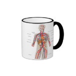 Circulatory System Mug