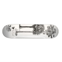 Circus Oasis Skate Boards