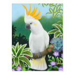 Citron Cockatoo Postcard