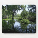 City of Chicago & Lake Michigan Mousepads