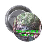 Claean Water Is Priceless! Pinback Buttons