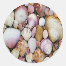 Clam Shell Sticker