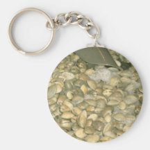 Clams Key Chains