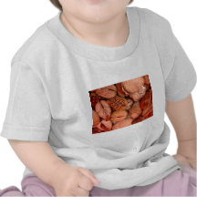Clams! Tees