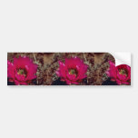 Claret Cup Cactus Bumper Stickers