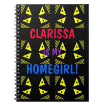 CLARISSA JOURNALS