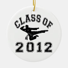Class Of 2012 - Martial Art 2 D Christmas Ornament