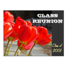CLASS REUNION postcard Invitations Red Tulips