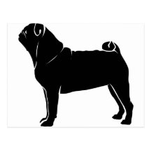 Classic Black Pug Design Postcard