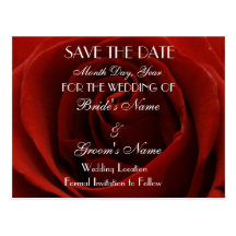 Classic Red Rose Save the Date Wedding Postcard