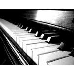 Musician