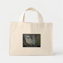 Claude Desrochers000062 Tote Bags