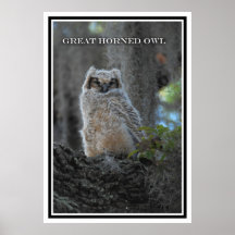 CLAUDE DESROCHERS042 POSTERS