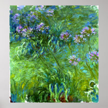 Claude Monet: Agapanthus Print