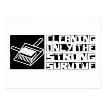 Cleaning Survive Post Card