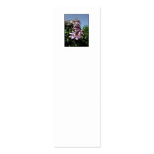 Clematis. Pink Flowers, and blue sky. Business Card Templates