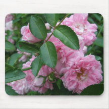Climbing Rose Coordinating Items Mousepads