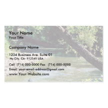 Clinch River Scenic Business Card Templates