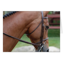 Clipped Pony Greeting Card