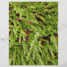 Close-up of plants with pink flowers custom flyer