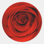 Close up of red rose round sticker
