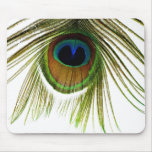 Close Up Peacock Feather Mousepad