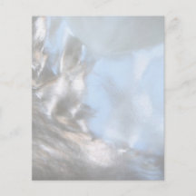 Close up Photo. Picture of a Seashell. Custom Flyer