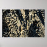 Close-up, section of Gaudi Cathedral, Barcelona, S Print