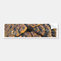 close up wood bumper sticker