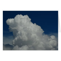 Cloud P5644 Card