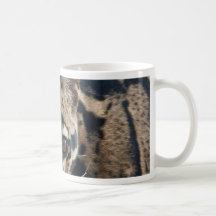 Clouded leopards mugs