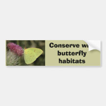 Cloudless Sulphur butterfly bumper sticker