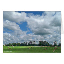 Cloudy Hay Field Greeting Card