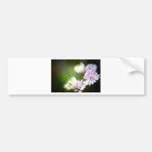 Clover vignette bumper stickers