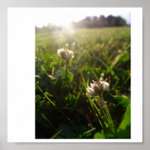 Clovers Poster