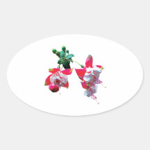 Cluster of Fuschia Sticker