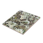 Cluster of Pear Tree Blossoms Tile
