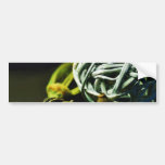 Clutter Balls Woven Bumper Stickers