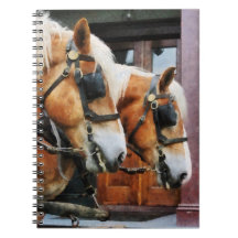 Clydesdale Closeup Notebooks
